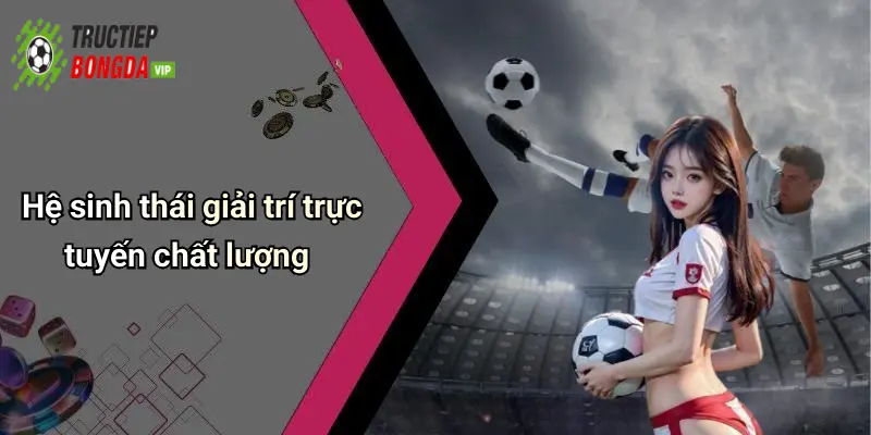 Hệ sinh thái giải trí trực tuyến chất lượng