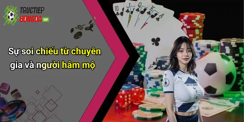 Sự soi chiếu từ chuyên gia và người hâm mộ