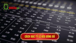 Cách đọc tỷ lệ kèo bóng đá