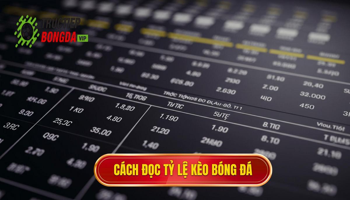 Cách đọc tỷ lệ kèo bóng đá