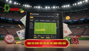 Mẹo cá cược kèo tài xỉu thẻ vàng hiệu quả