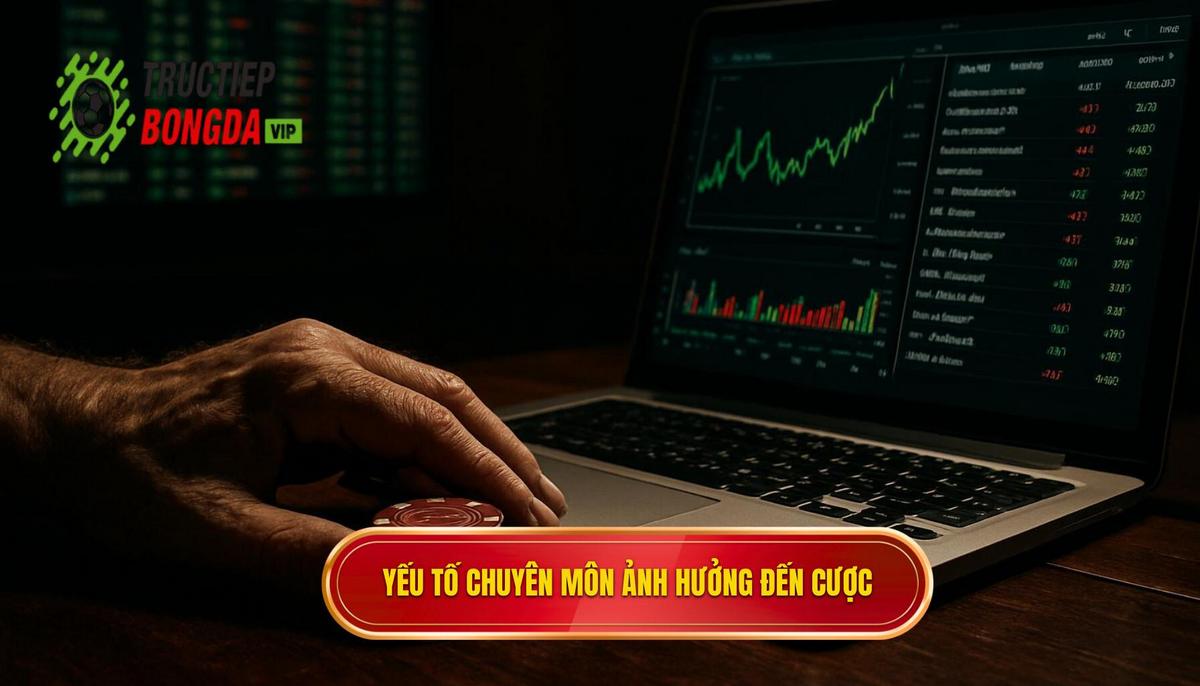 Những Yếu Tố Chuyên Môn Ảnh Hưởng Đến Kèo Cược