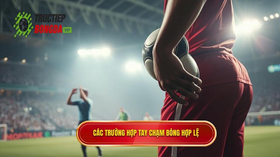 2. Các trường hợp tay chạm bóng hợp lệ