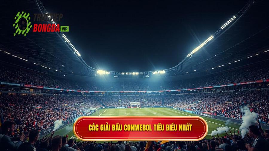 Các giải đấu CONMEBOL tiêu biểu nhất