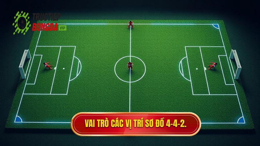 Vai trò các vị trí sơ đồ 4-4-2.