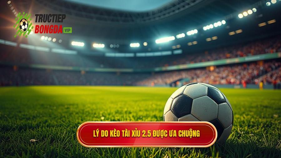 Lý do Kèo tài xỉu 2.5 được ưa chuộng