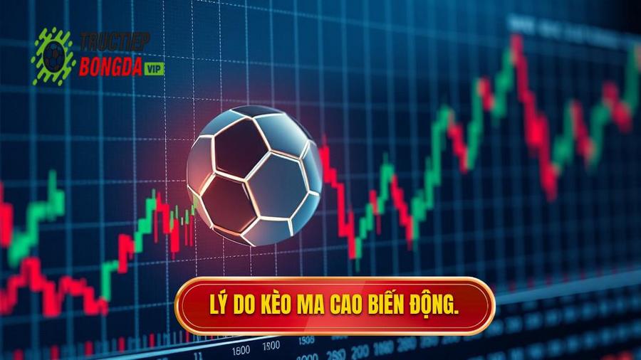 Lý do kèo Ma Cao biến động.
