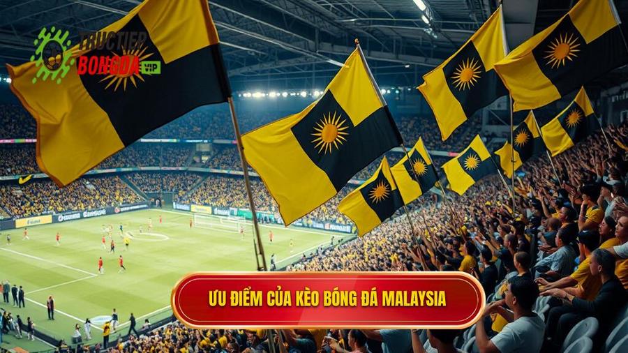 Ưu điểm của kèo bóng đá Malaysia