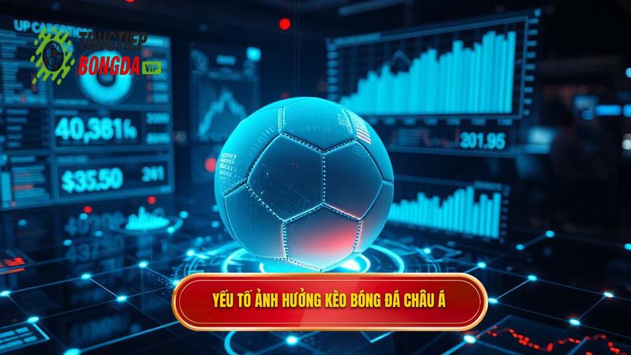 Yếu tố ảnh hưởng kèo bóng đá Châu Á