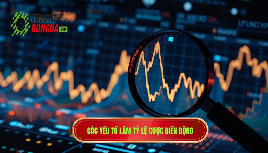 Các yếu tố làm tỷ lệ cược biến động