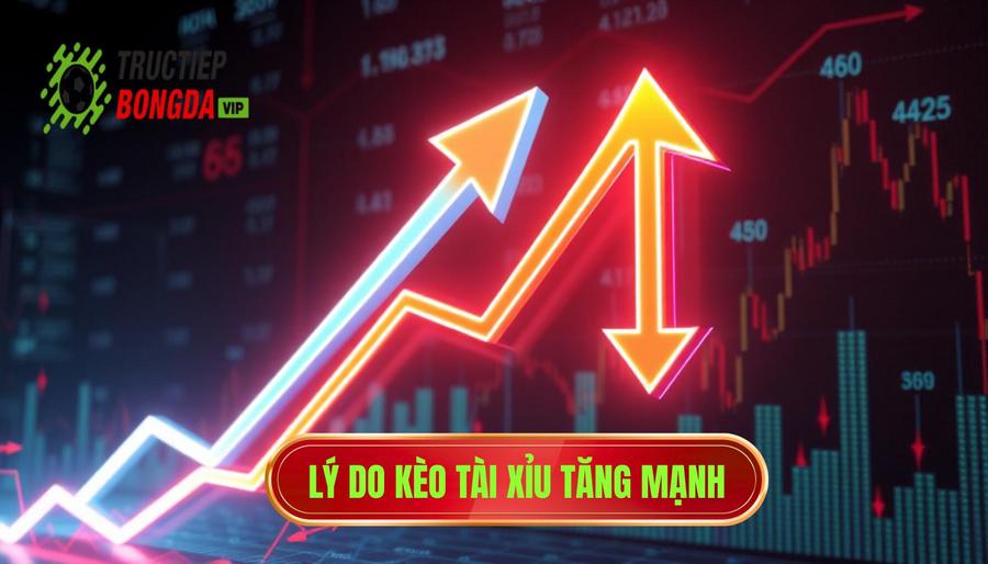 Lý do kèo tài xỉu tăng mạnh